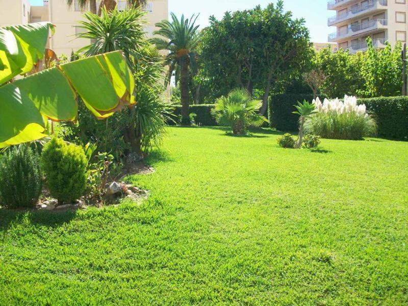 Con Vistas Al Mediterraneo Playa de Gandia Dış mekan fotoğraf